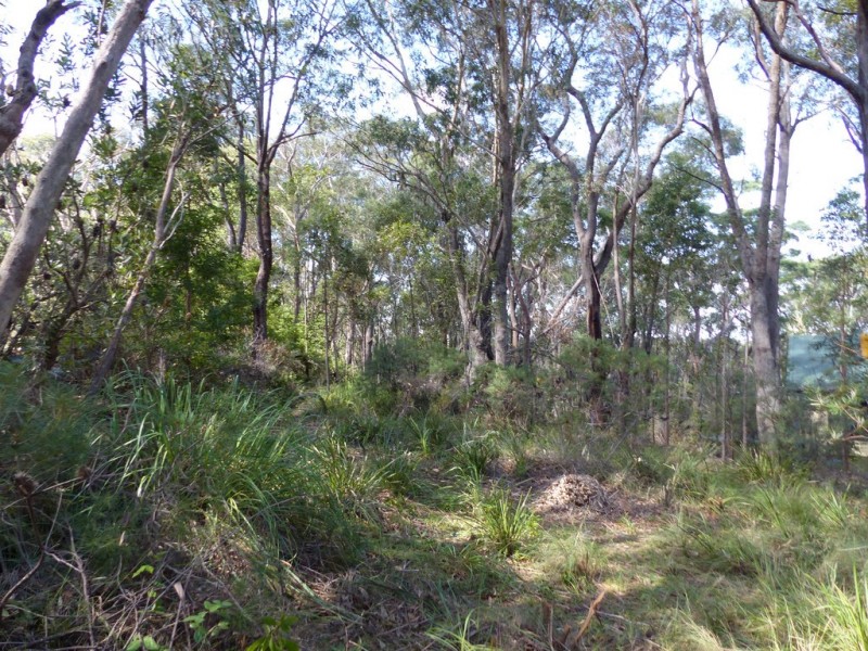 96 Boronia Road, Bullaburra NSW 2784