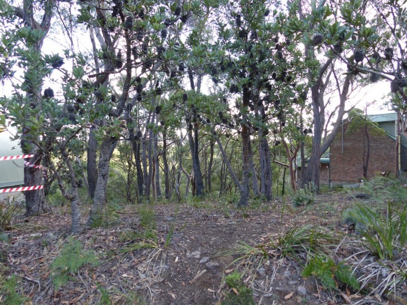 129 Boronia Road, Bullaburra NSW 2784