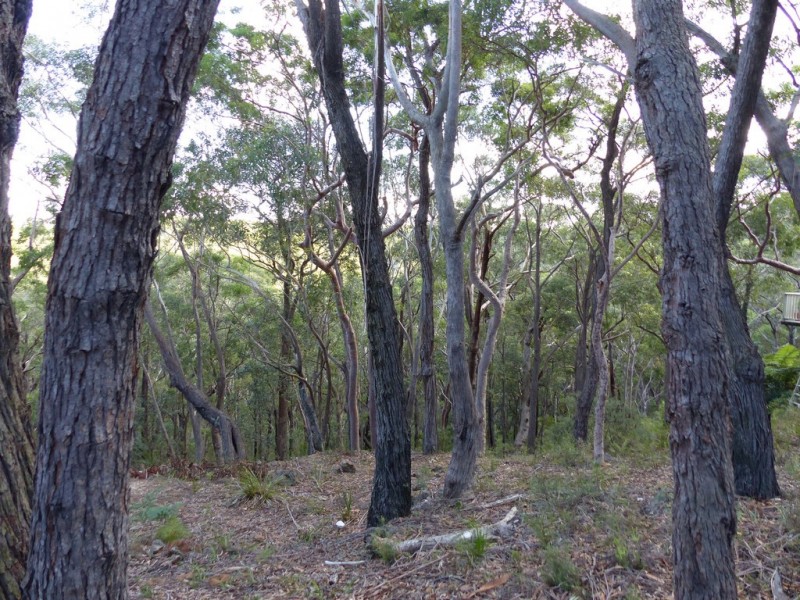 129 Boronia Road, Bullaburra NSW 2784