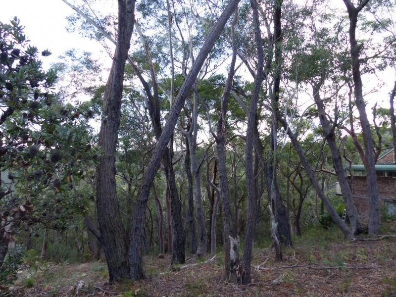 129 Boronia Road, Bullaburra NSW 2784