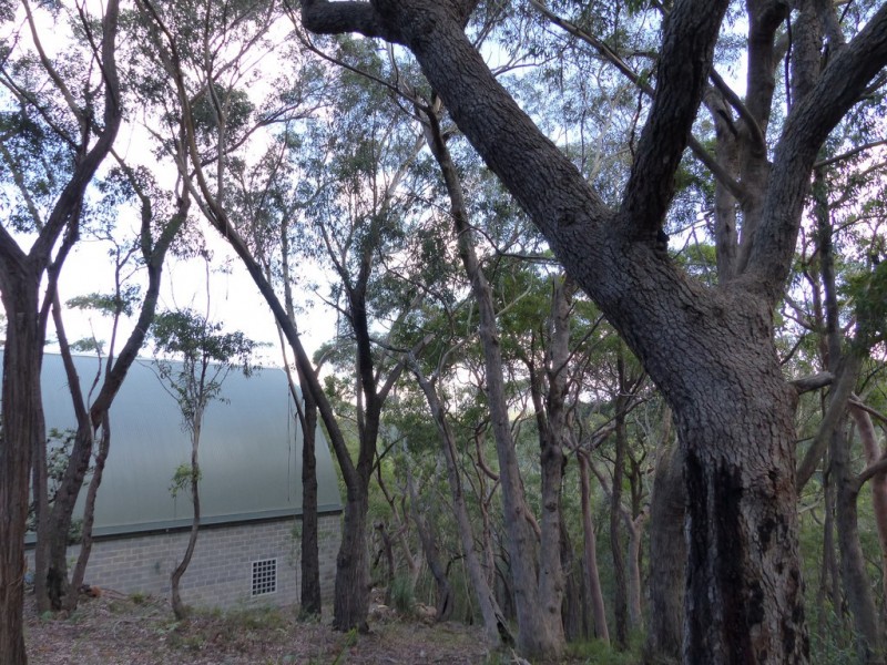 129 Boronia Road, Bullaburra NSW 2784