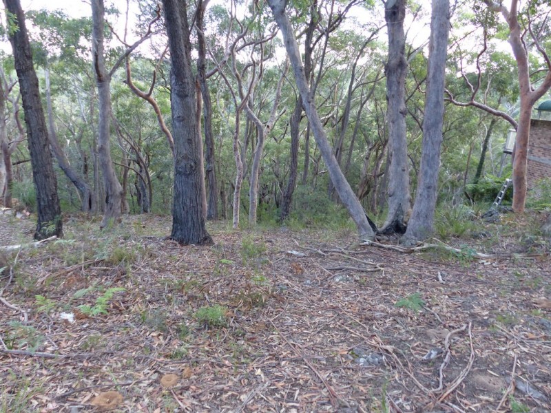 129 Boronia Road, Bullaburra NSW 2784