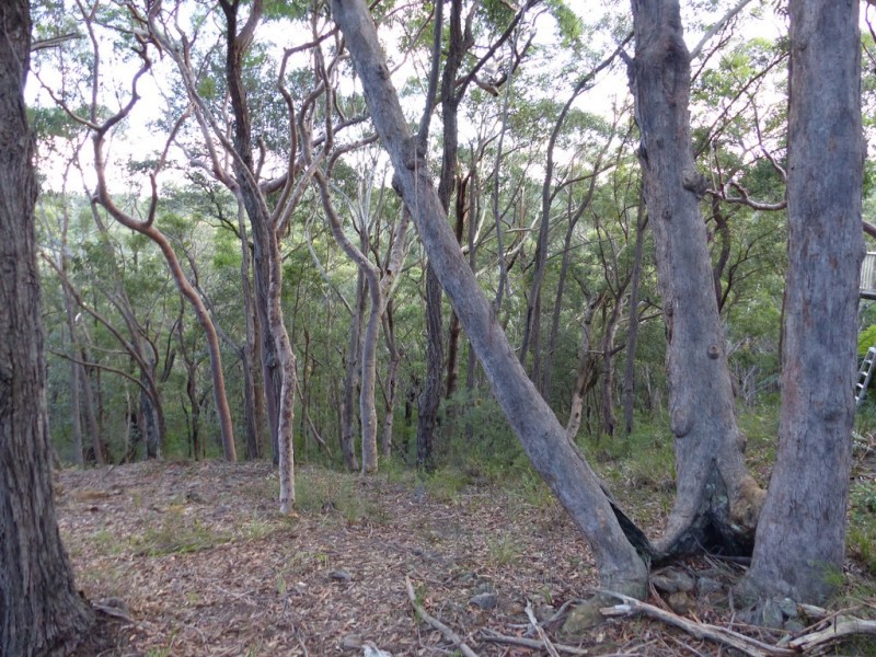 129 Boronia Road, Bullaburra NSW 2784