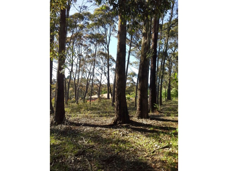 15 Seiberi Close, Blackheath NSW 2785