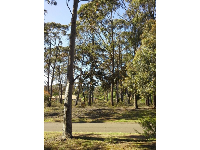 15 Seiberi Close, Blackheath NSW 2785