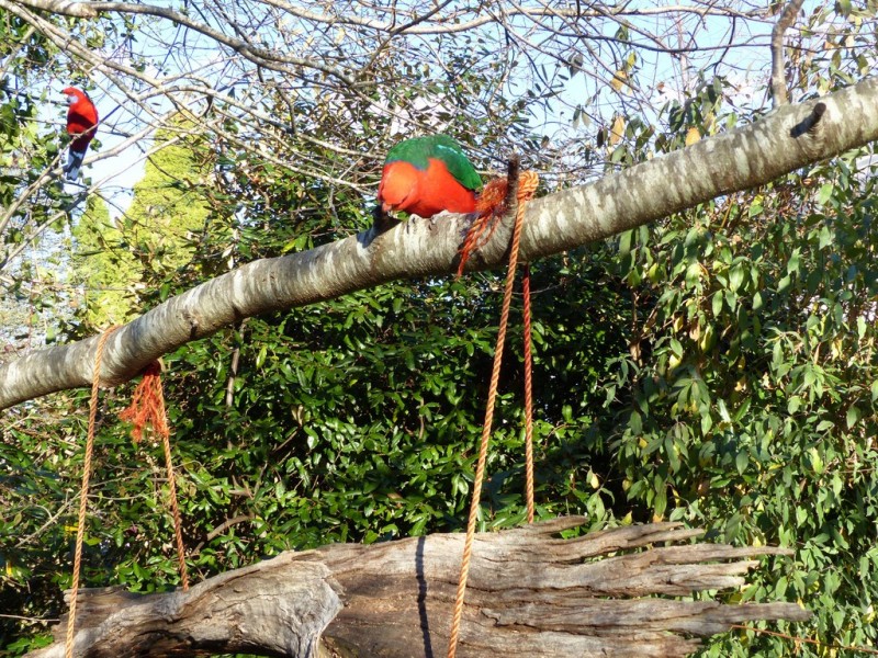 18 Morven Road, Leura NSW 2780