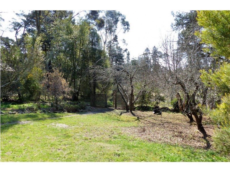 29 Wombat Street, Blackheath NSW 2785
