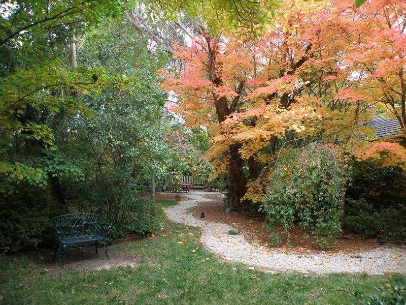 21 Brentwood Avenue, Blackheath NSW 2785