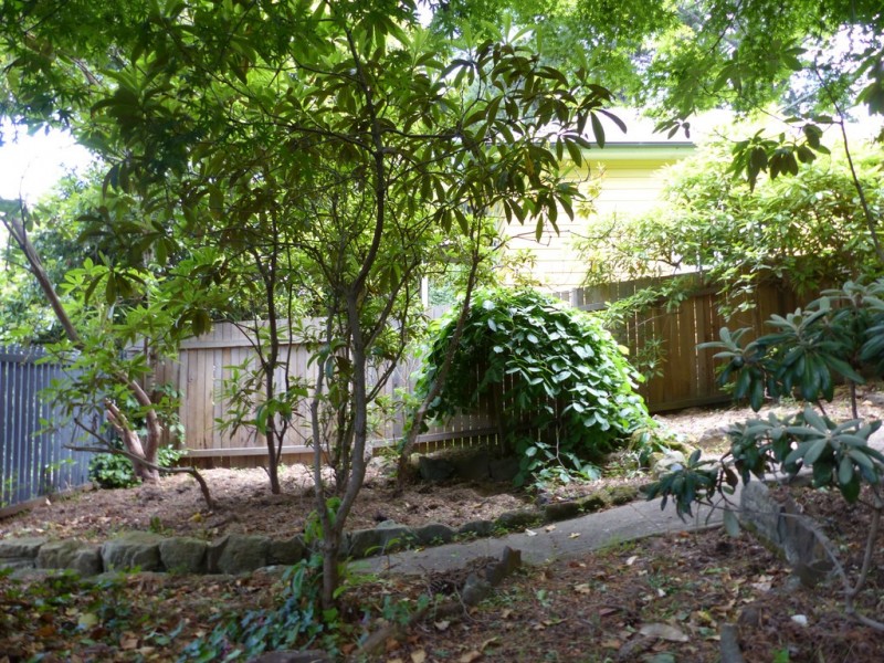 8 Mount Street, Leura NSW 2780