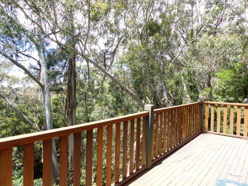 85 Henderson Road, Wentworth Falls NSW 2782