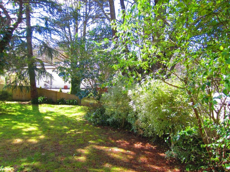 1 Lyne Street, Katoomba NSW 2780