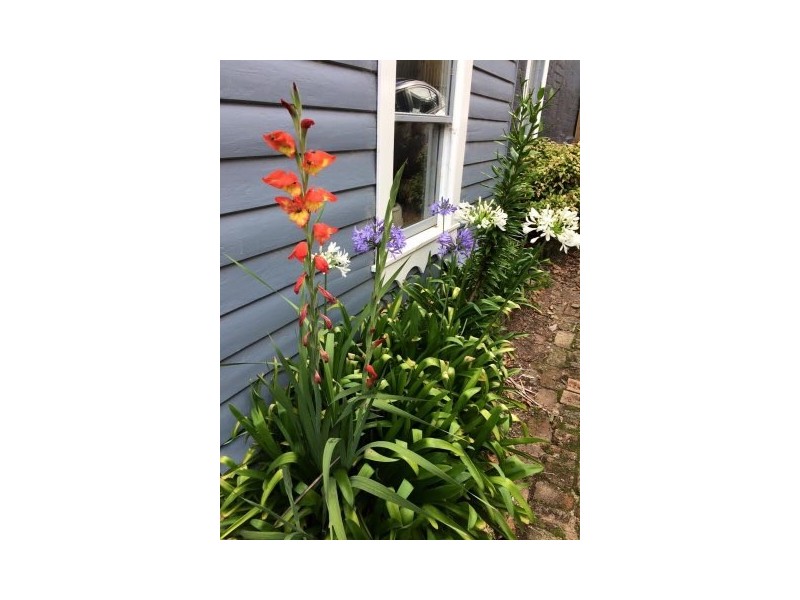 41 Station Street, Katoomba NSW 2780