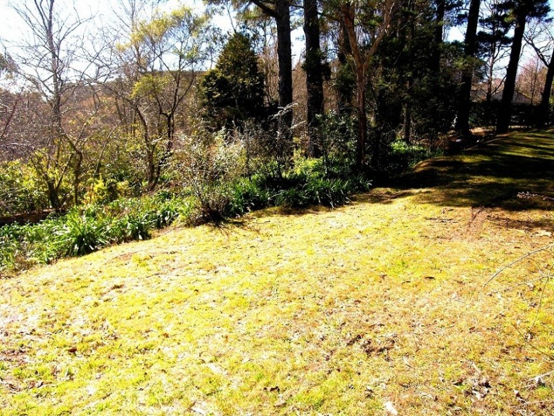 12 Burwood Road, Mount Victoria NSW 2786