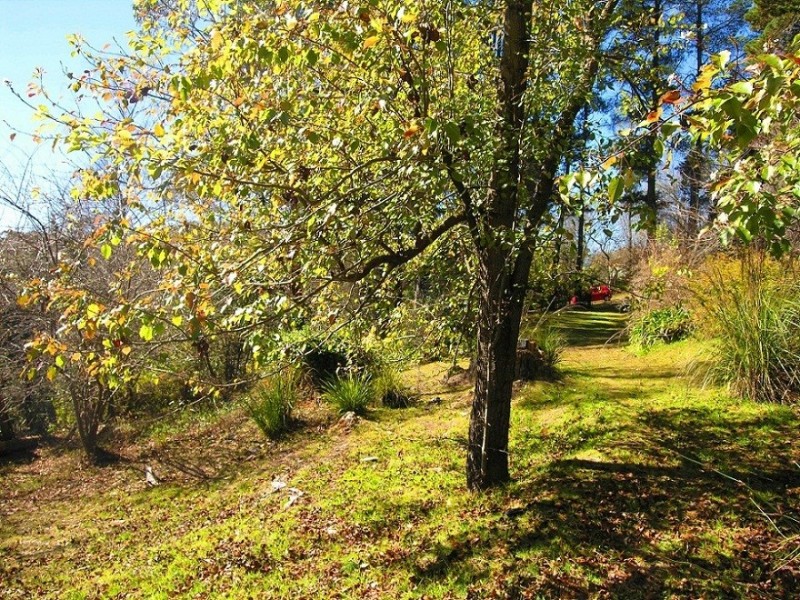 12 Burwood Road, Mount Victoria NSW 2786