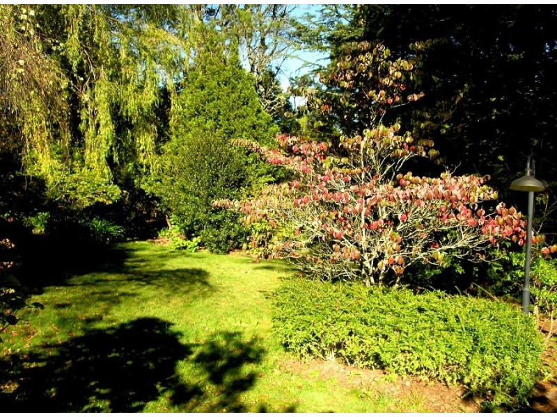 52 Jersey Avenue, Leura NSW 2780