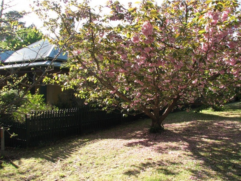 Medlow Bath NSW 2780