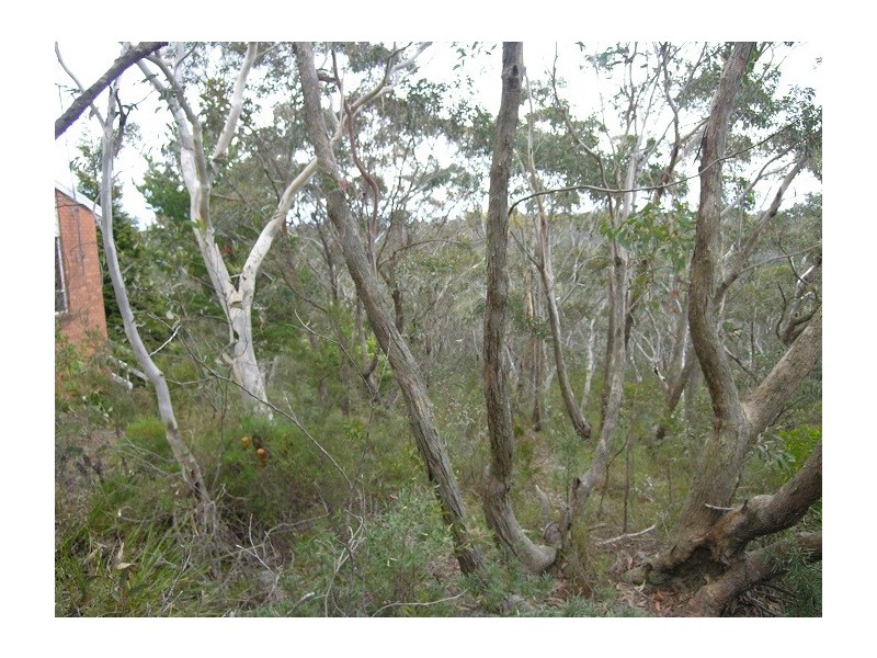 8 Rawson Parade, Leura NSW 2780