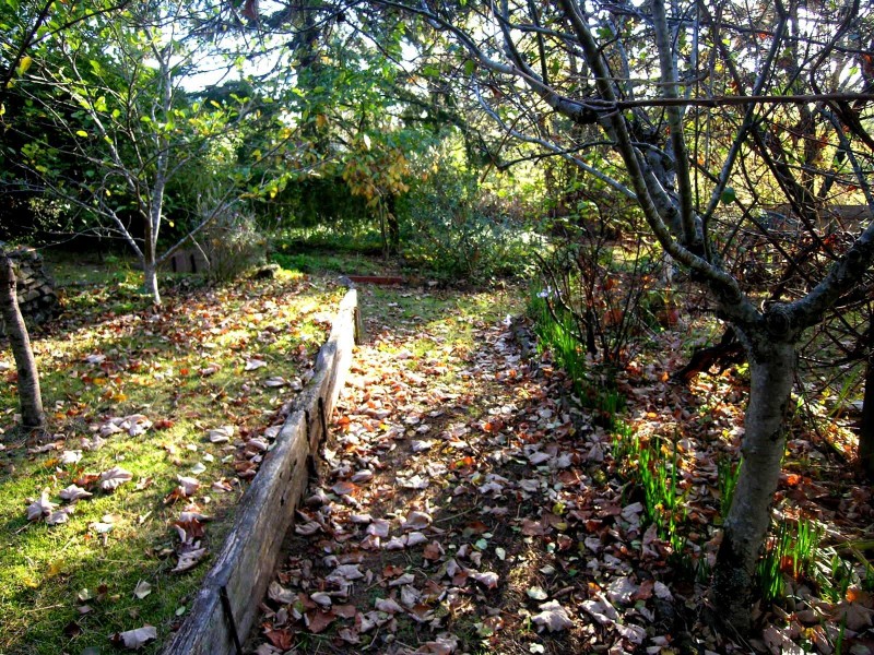 27 Fitzgerald Street, Katoomba NSW 2780