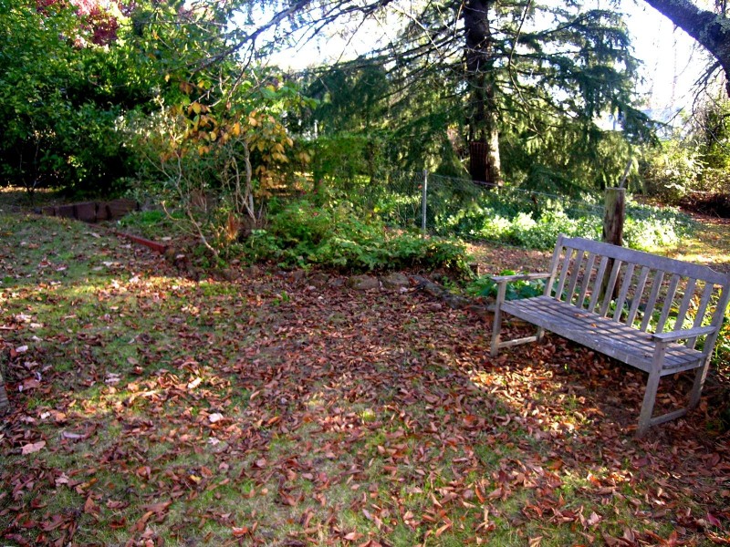 27 Fitzgerald Street, Katoomba NSW 2780