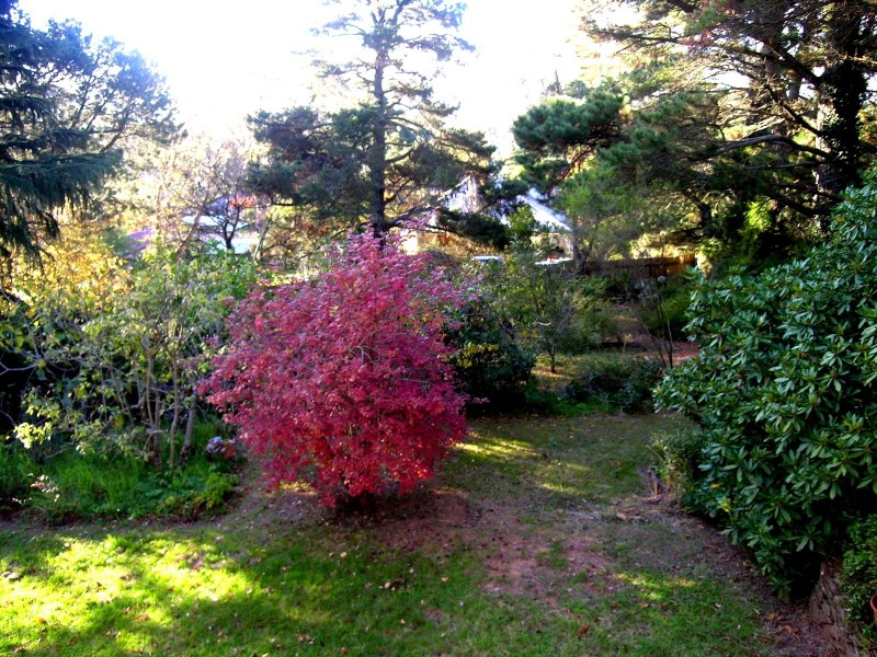 27 Fitzgerald Street, Katoomba NSW 2780