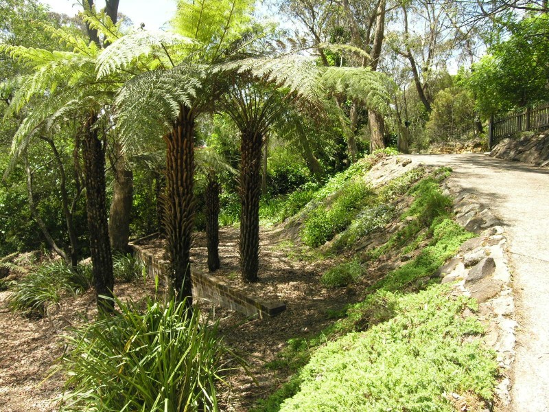 8 Myall Avenue, Leura NSW 2780