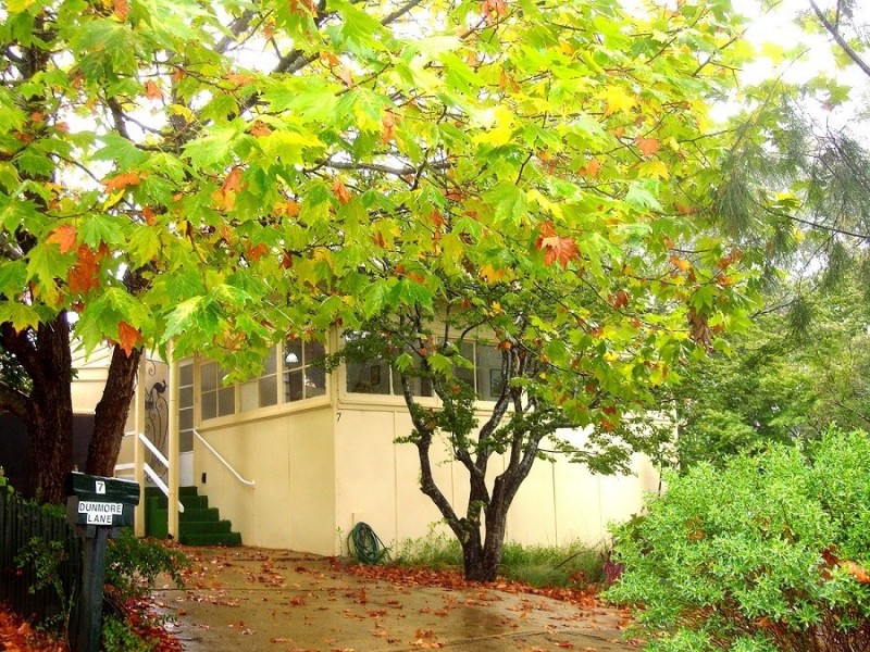 7 Dunmore Lane, Katoomba NSW 2780