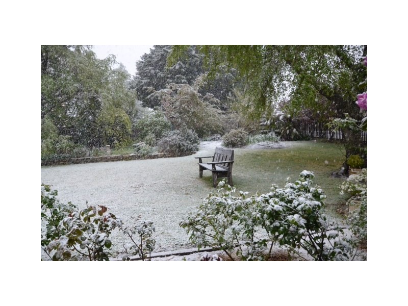 1 Blackheath Street, Leura NSW 2780