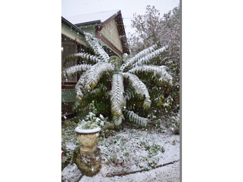 1 Blackheath Street, Leura NSW 2780