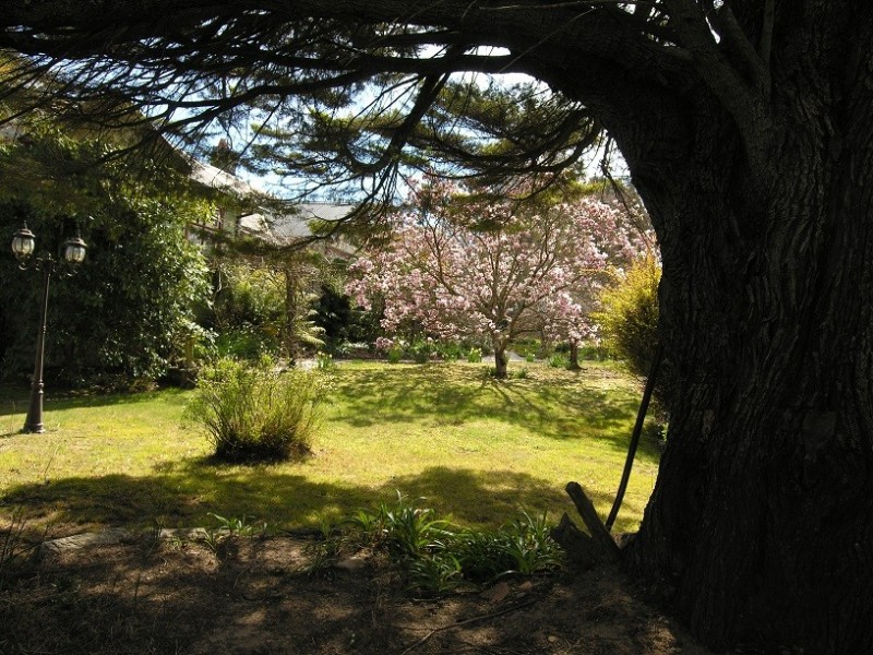 1 Blackheath Street, Leura NSW 2780