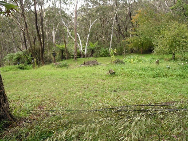 17 Pulpit Hill Road, Katoomba NSW 2780