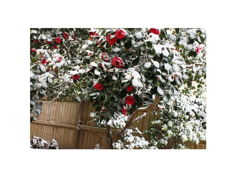 208 Bathurst Road, Katoomba NSW 2780