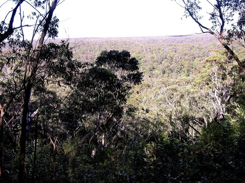 85 Genevieve Road, Bullaburra NSW 2784