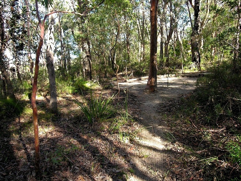 85 Genevieve Road, Bullaburra NSW 2784