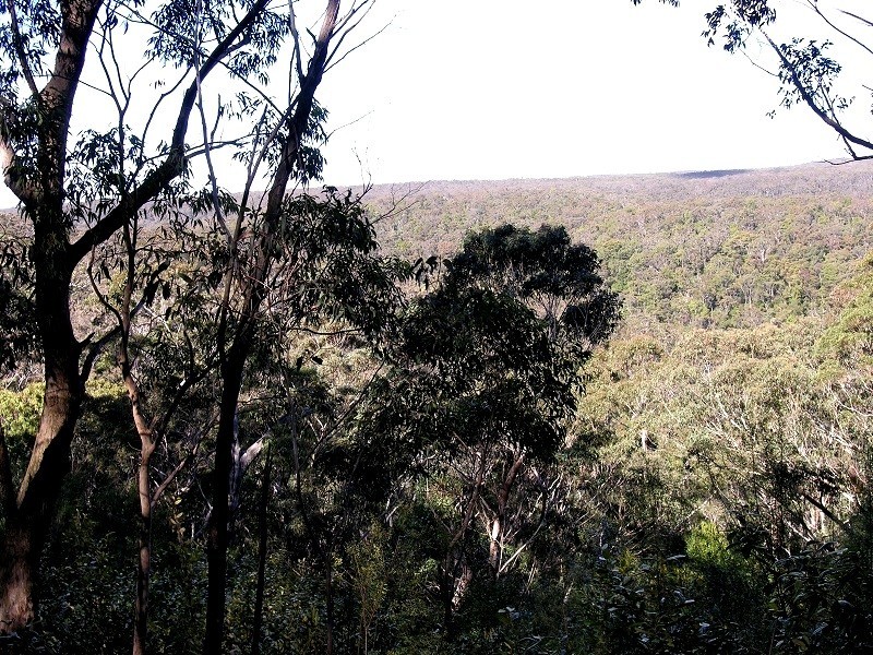 85 Genevieve Road, Bullaburra NSW 2784