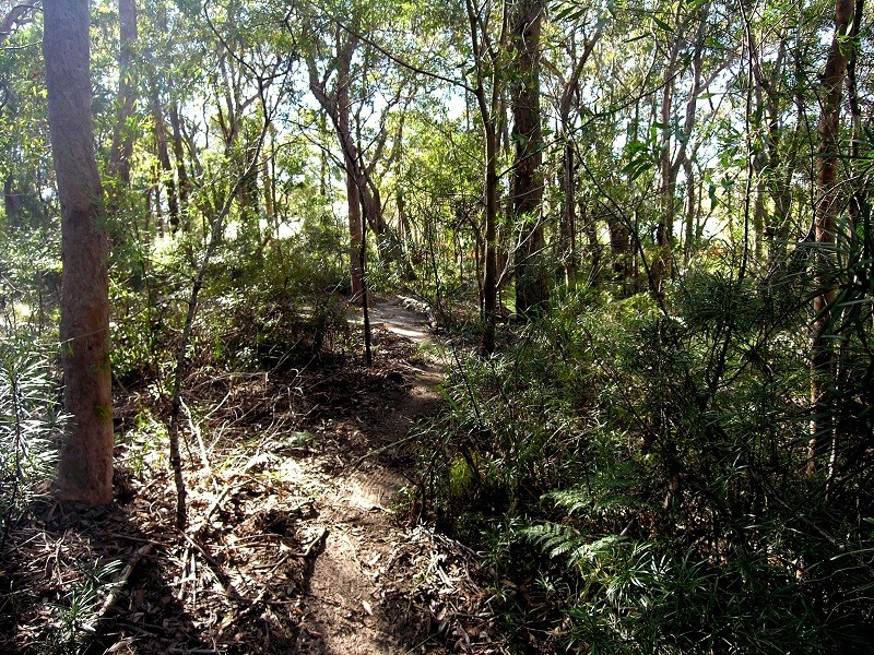 85 Genevieve Road, Bullaburra NSW 2784