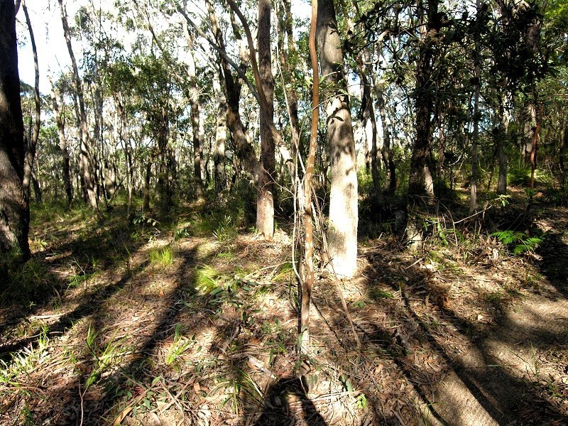 85 Genevieve Road, Bullaburra NSW 2784