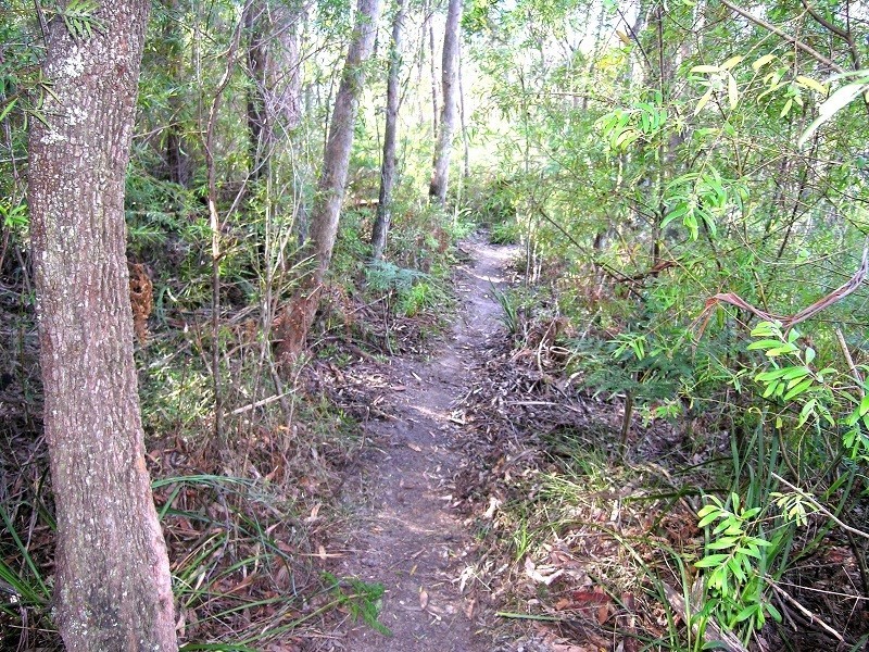 85 Genevieve Road, Bullaburra NSW 2784