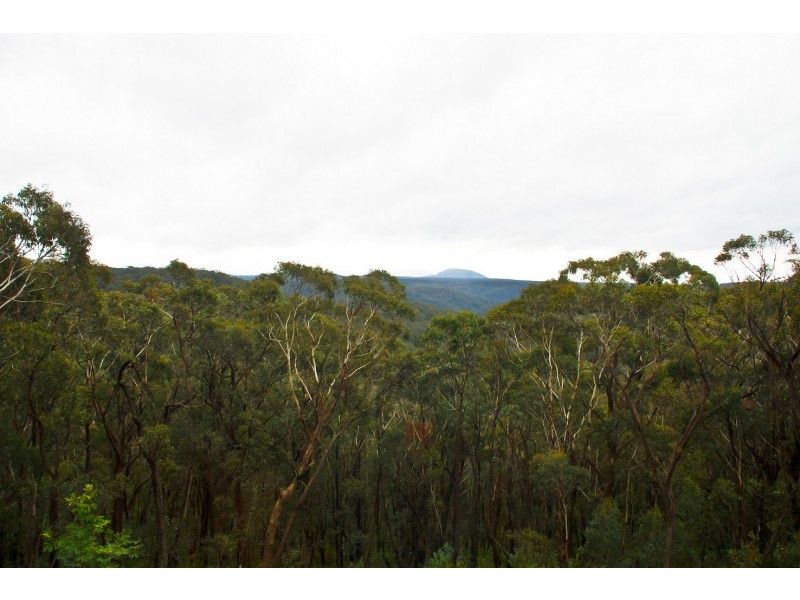 60 Henderson Road, Wentworth Falls NSW 2782