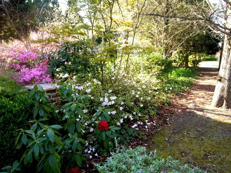 9-11 Pauline Avenue, Wentworth Falls NSW 2782