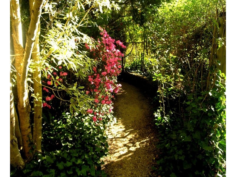 9-11 Pauline Avenue, Wentworth Falls NSW 2782