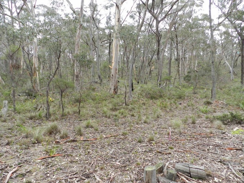 49 Salisbury Avenue, Mount Victoria NSW 2786