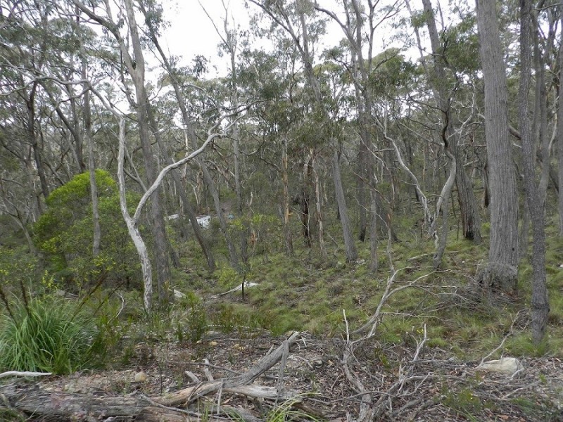 49 Salisbury Avenue, Mount Victoria NSW 2786