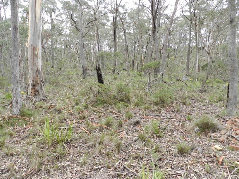 49 Salisbury Avenue, Mount Victoria NSW 2786