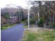 Wentworth Falls NSW 2782