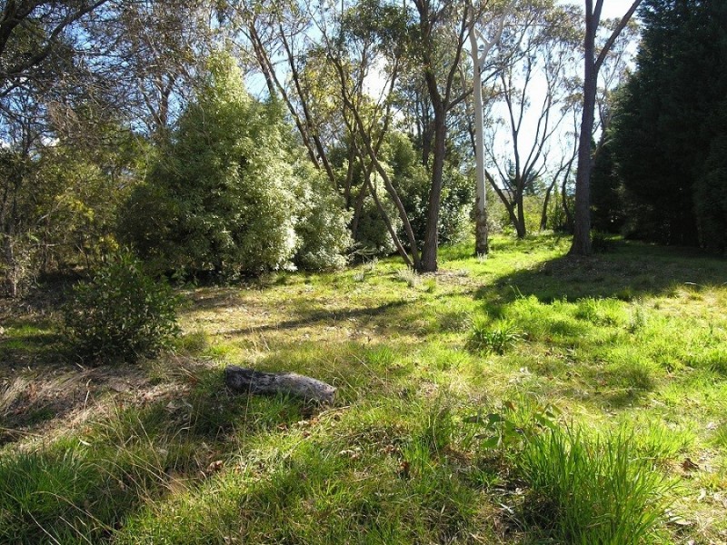 21a Glencoe Rd, Katoomba NSW 2780