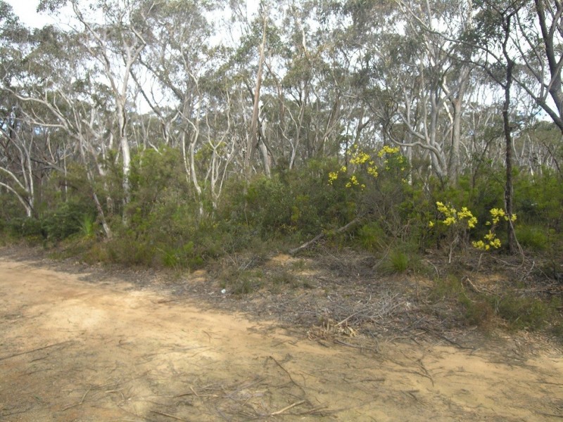 87 Marmion Road, Leura NSW 2780