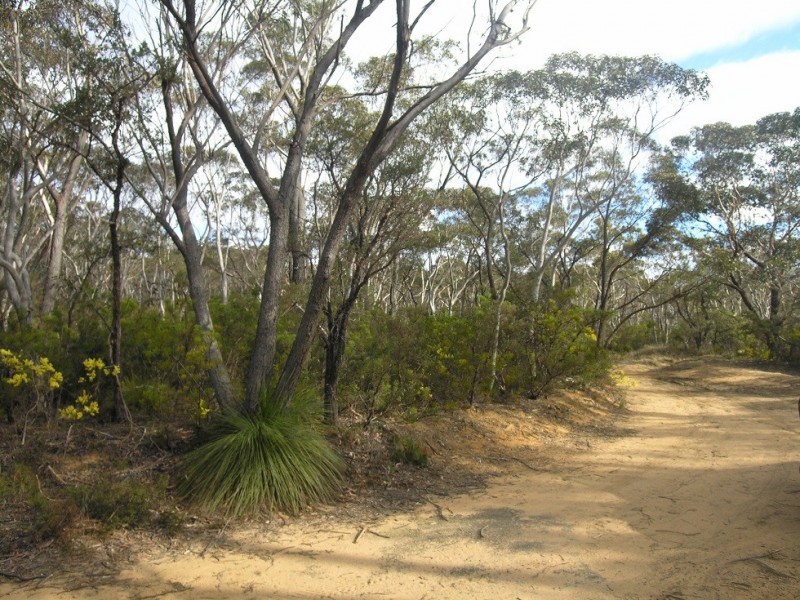 87 Marmion Road, Leura NSW 2780