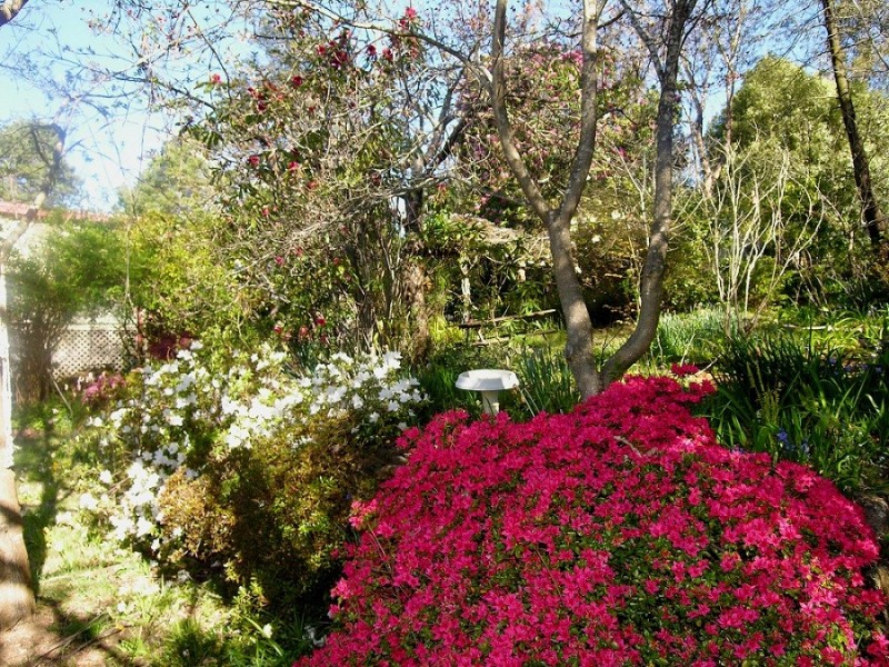 12 Norwood Street, Leura NSW 2780