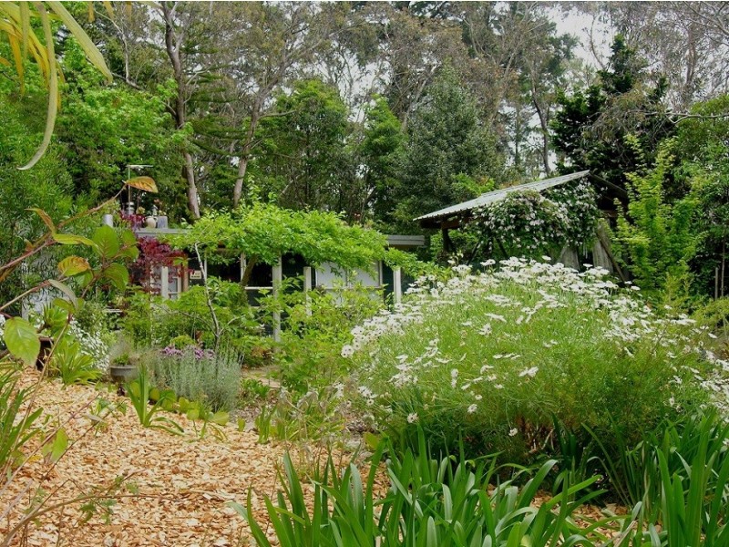 26 Cliff Drive, Katoomba NSW 2780