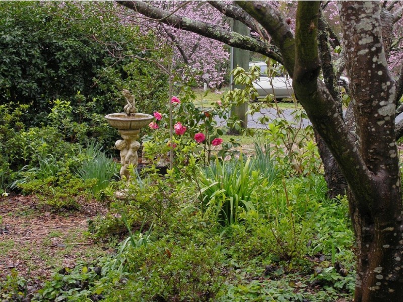 119 Gladstone Road, Leura NSW 2780